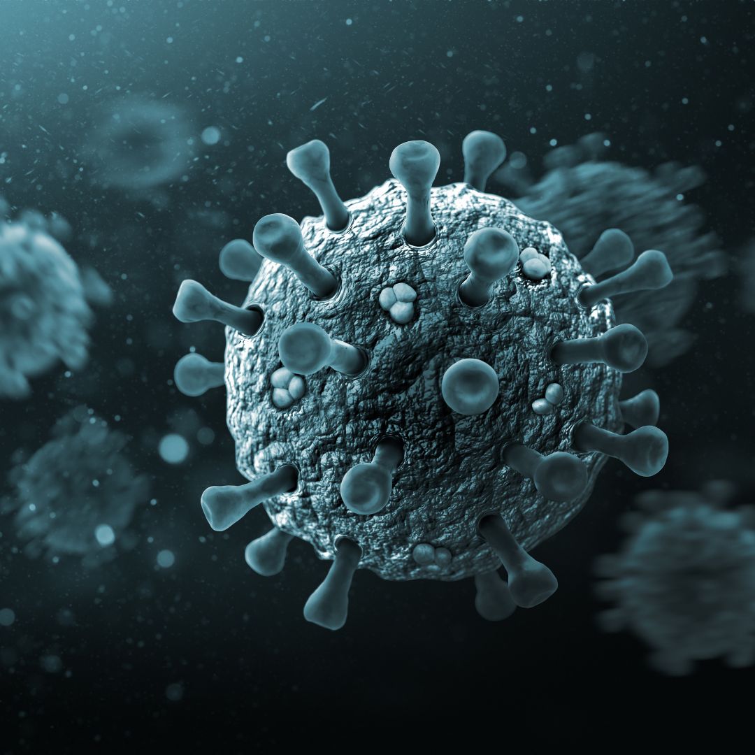 microscopic view of a virus></p><h3>Viruses</h3><p>
	Viruses are another common water contaminant and can be just as dangerous as bacteria. Common water-borne viruses include Hepatitis A, Rotavirus, and Norovirus. These viruses can cause a range of symptoms, from mild stomach upset to severe dehydration. To protect against viruses, it is important to use a water filter to remove them from the water. In addition to using a water filter, it is important to follow proper hygiene protocols such as washing hands and surfaces with soap and water before eating to keep your water quality as high as possible.</p><p>
	<img src=