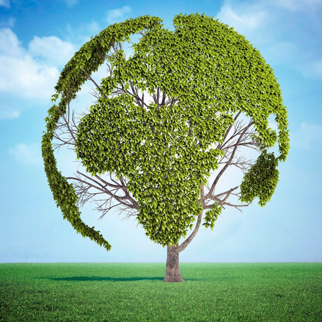 tree that looks like the globe