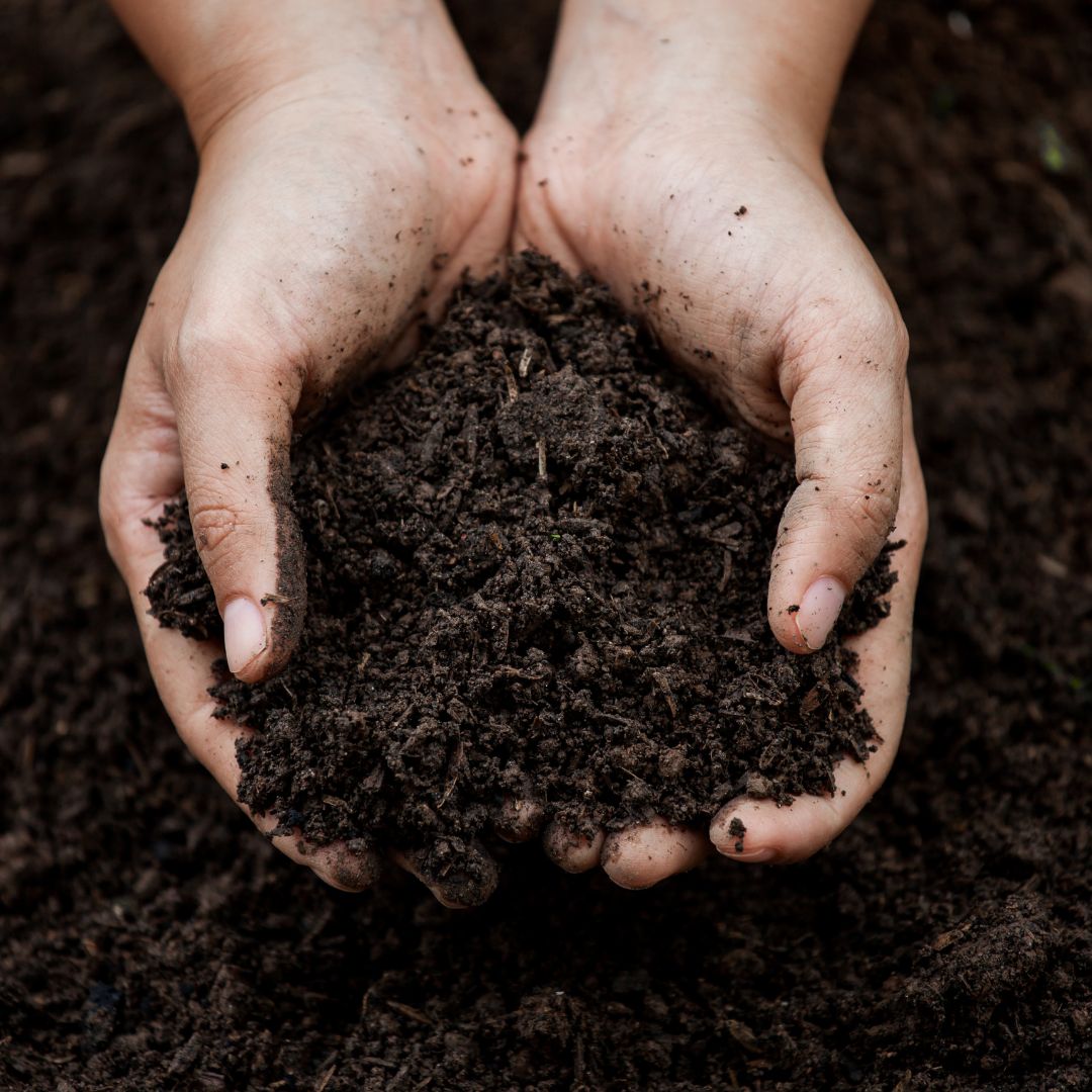 hands holding wet soil